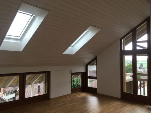 Dachfenster / Lukarnen