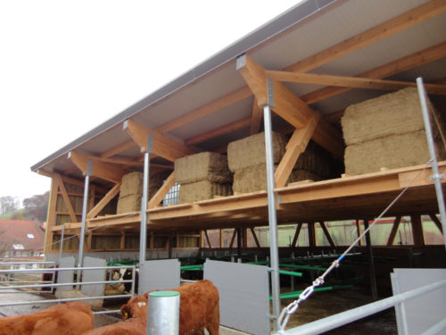 Holzbau